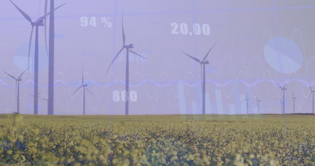 Finance and Data Processing over Sustainable Wind Energy Field