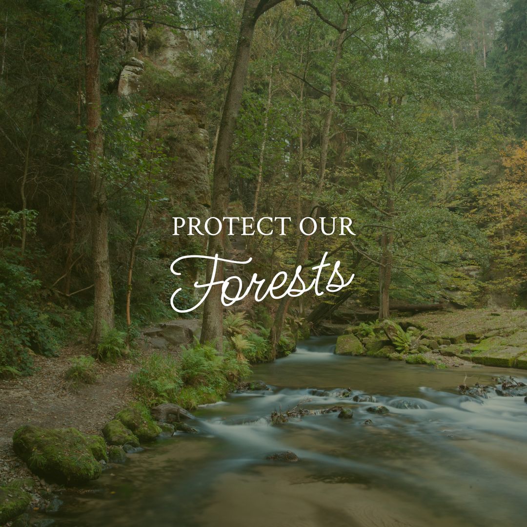 Serene River Flowing Through Lush Green Forest Trees