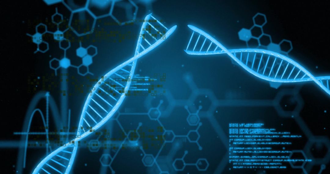 Biotechnology DNA Strands with Digital Interface Elements
