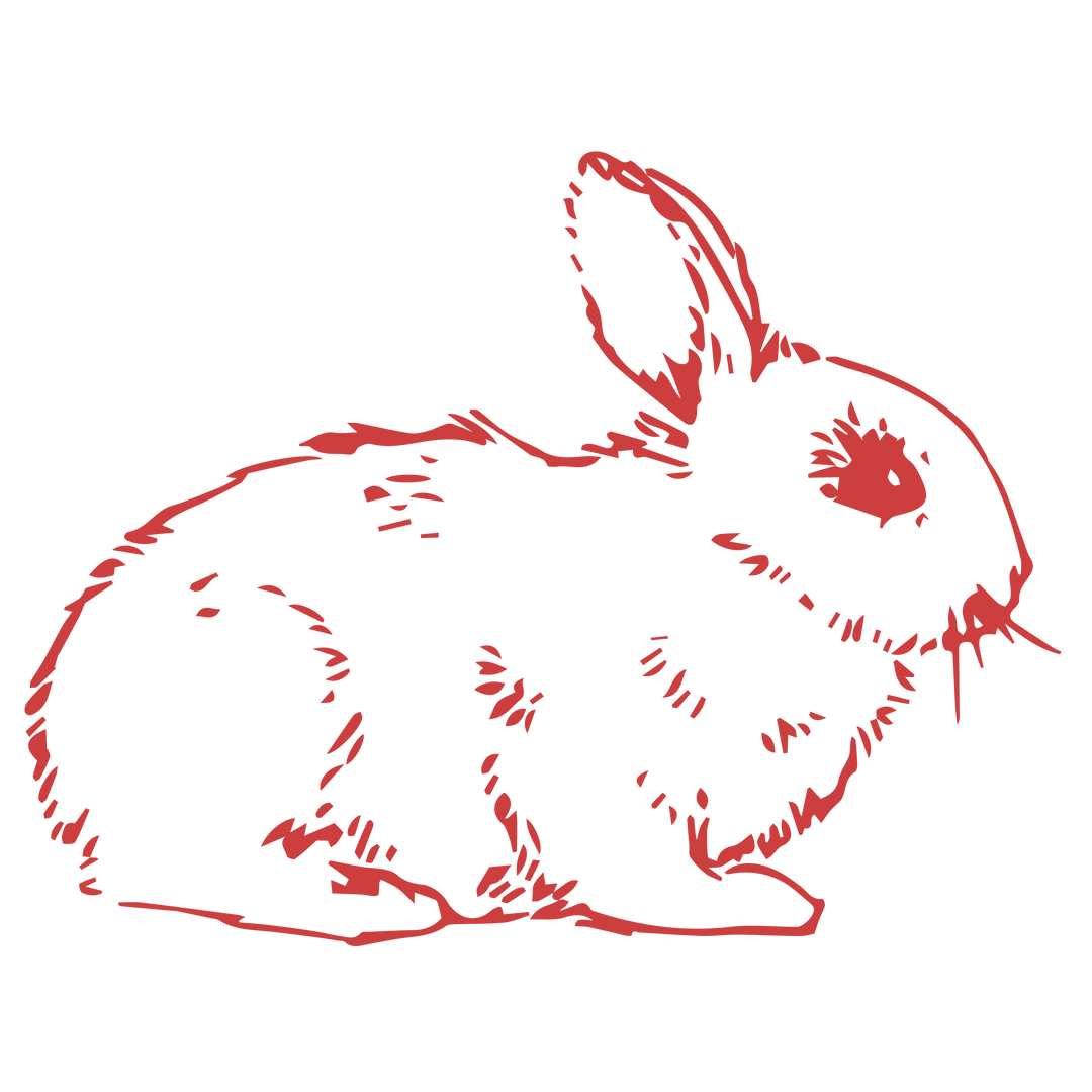 Red Rabbit Vector Illustration on Transparent Background - Download Free Stock Images Pikwizard.com