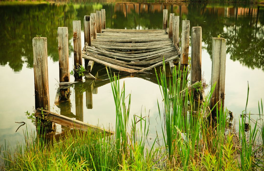 Old dilapidated wooden pier on a serene lake with tall green grass - Free Images, Stock Photos and Pictures on Pikwizard.com
