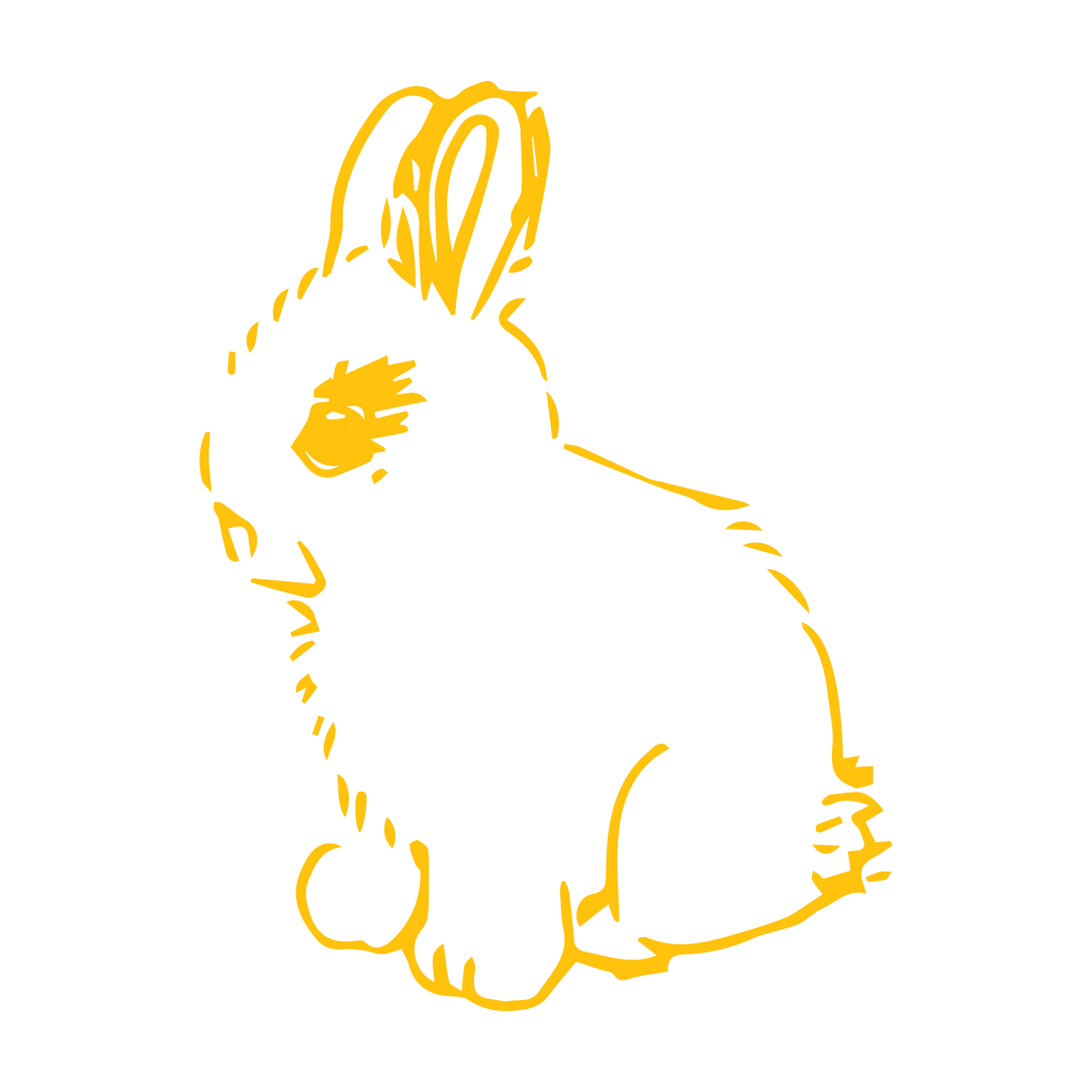 Yellow Bunny Illustration on Transparent Background for Celebration Design