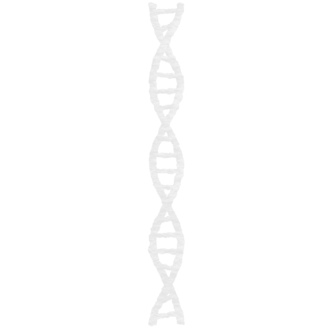 White DNA Strand on Transparent Background for Medical Concepts