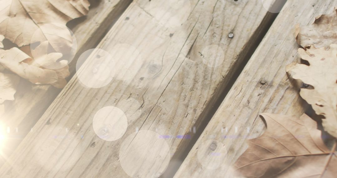 Autumn Leaves and Light Spots on Wooden Surface