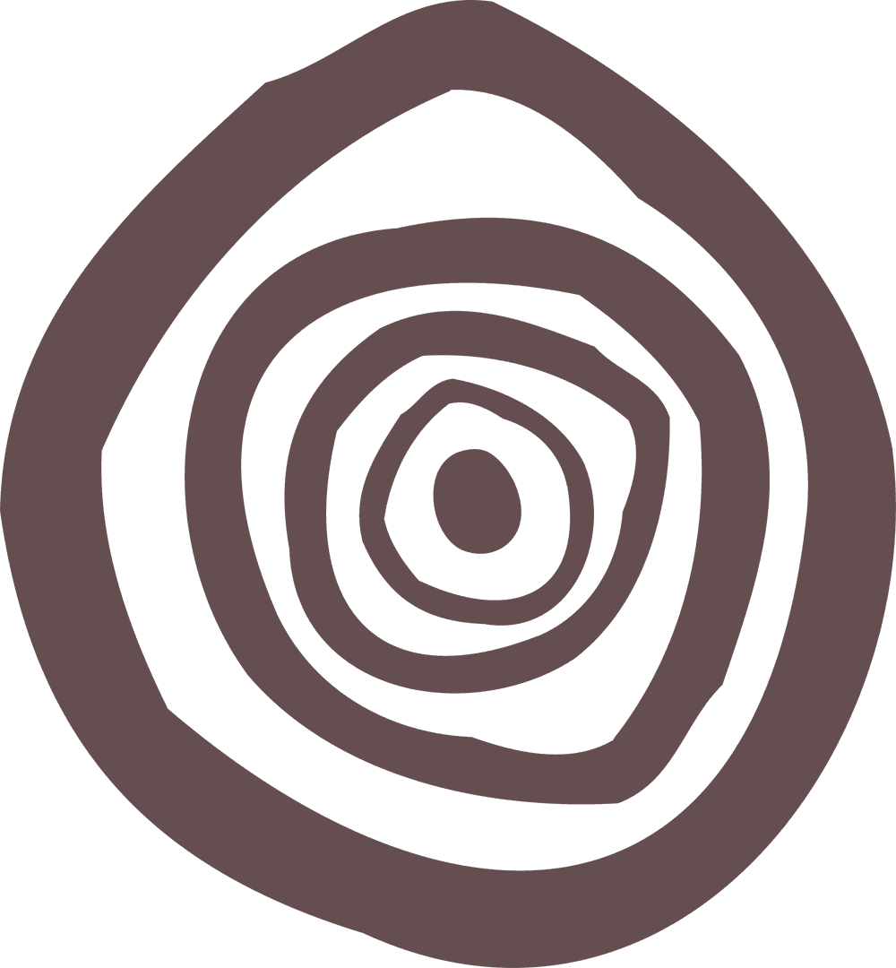 Abstract Concentric Rings on Transparent Background