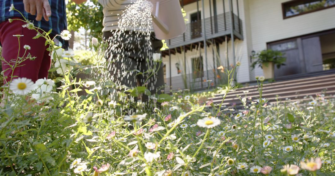 Senior Couple Watering Flowers in a Sunny Garden - Free Images, Stock Photos and Pictures on Pikwizard.com