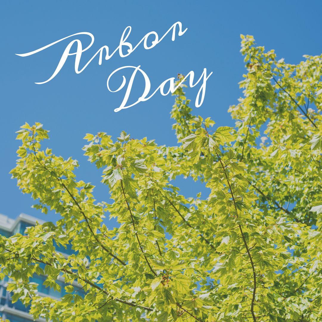 Celebrating Arbor Day with Verdant Tree Against Clear Blue Sky