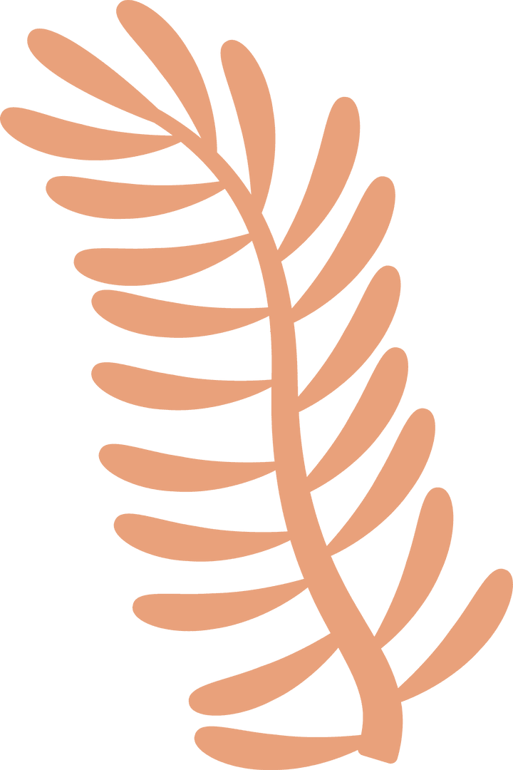 Botanical Peach Frond on Transparent Background