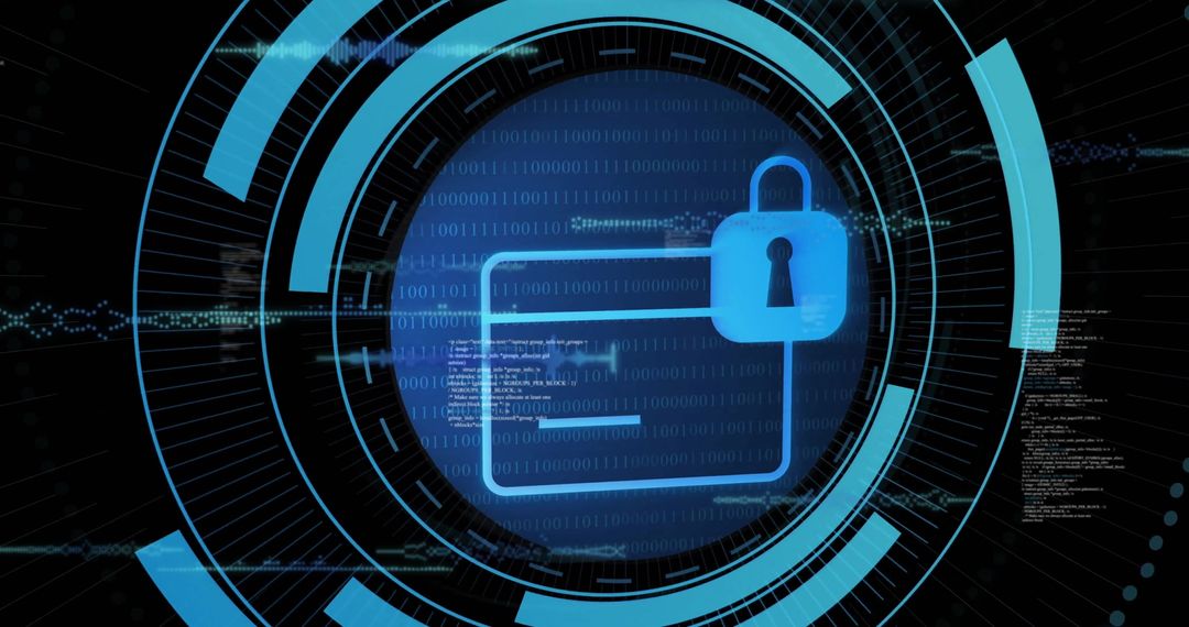 Digital Payment Security Interface with Network Encryption