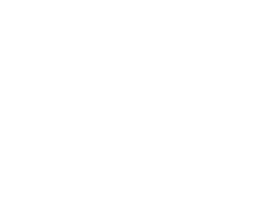 Transparent Silhouette of Male Fencer in Action, High-Quality Vector Illustration - Download Free Stock Images Pikwizard.com