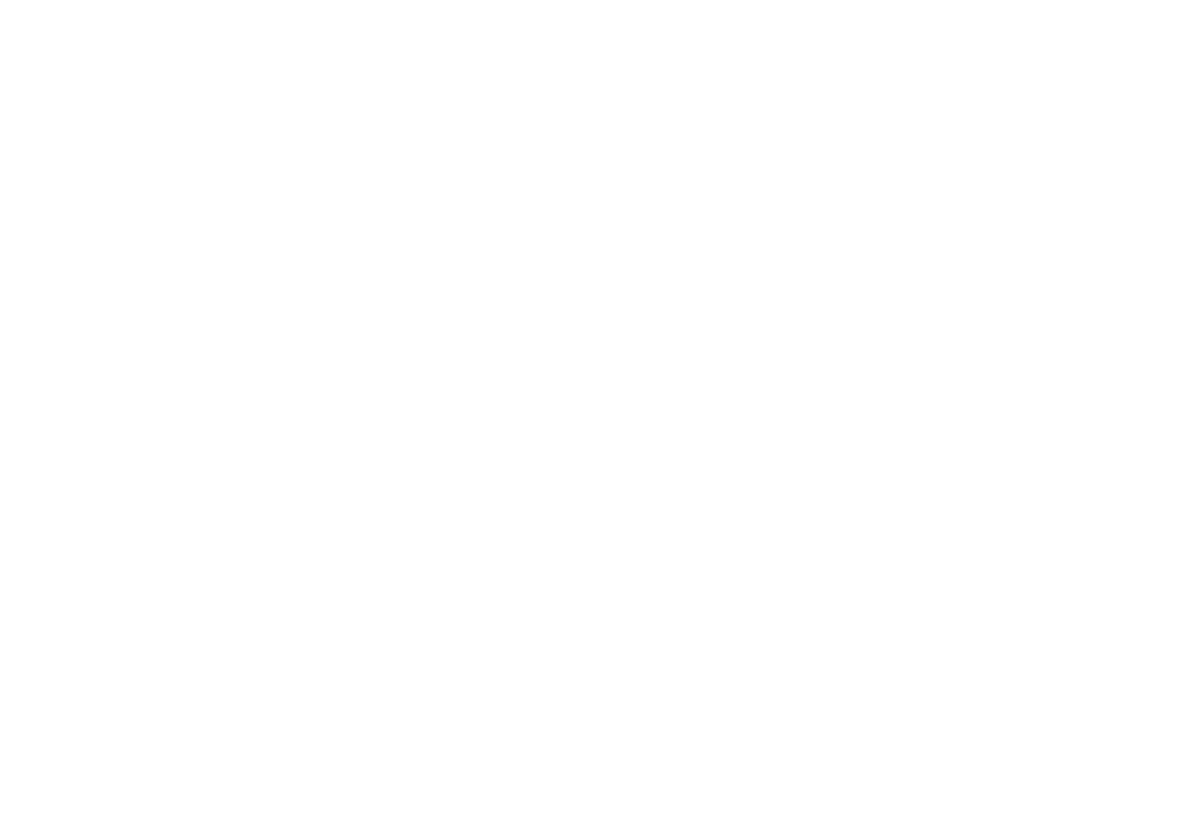 Transparent flowchart illustration for documentation and presentation