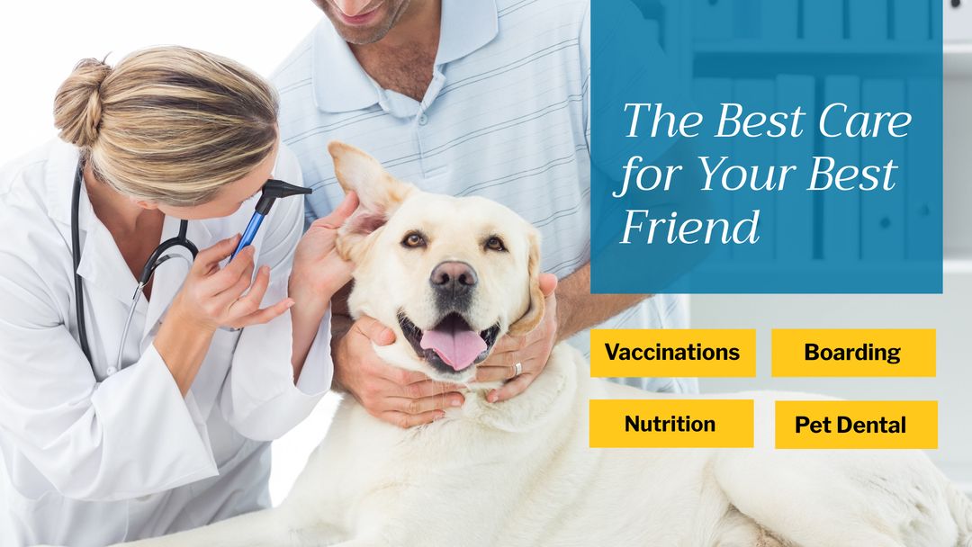 Veterinarian Examining a Happy Dog Highlighting Trust and Care - Download Free Stock Templates Pikwizard.com