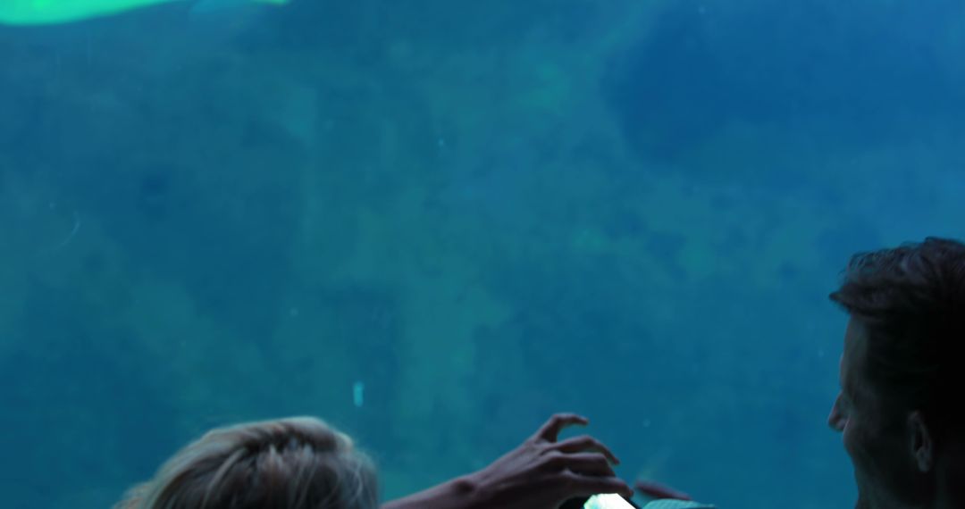Couple Watching Marine Creatures in Aquarium with Copy Space