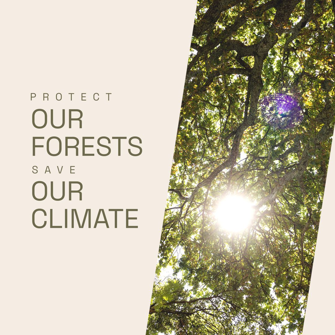 Save Our Forests Climate Awareness Campaign with Sunlit Trees