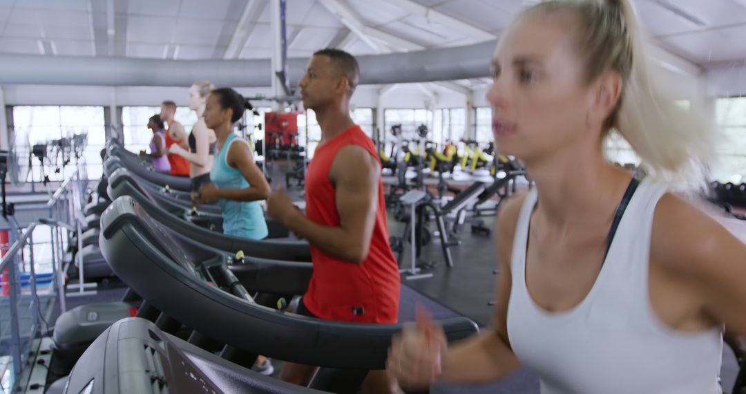 Group of People Exercising on Treadmills in Modern Gym - Free Images, Stock Photos and Pictures on Pikwizard.com