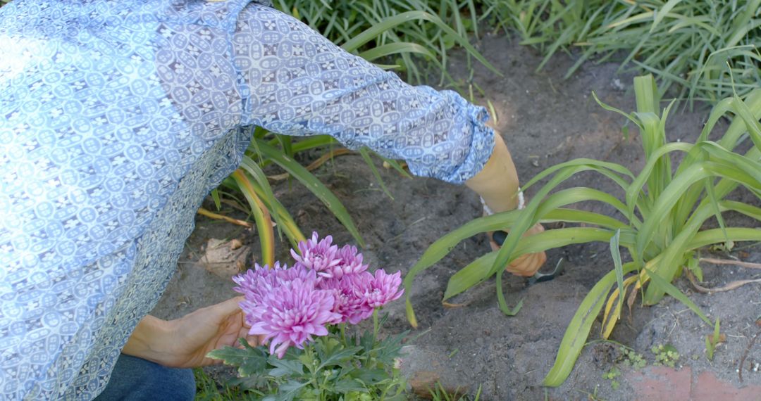 Person planting flowers in garden wearing blue patterned shirt - Free Images, Stock Photos and Pictures on Pikwizard.com