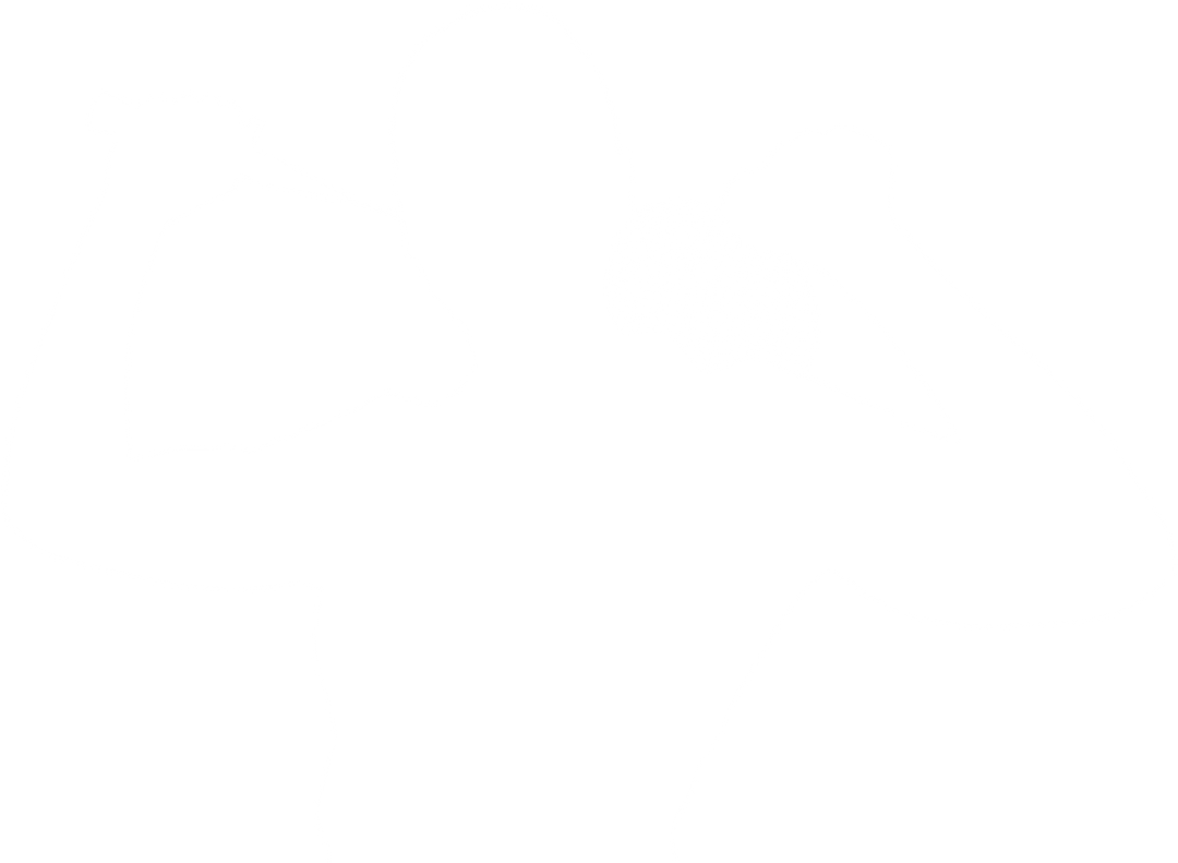 Transparent PNG Silhouette of Female Badminton Player Arm Lifted - Download Free Stock Images Pikwizard.com