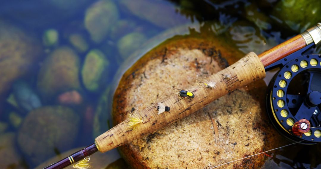 Close-up of Fly Fishing Rod and Reel on Rock - Free Images, Stock Photos and Pictures on Pikwizard.com