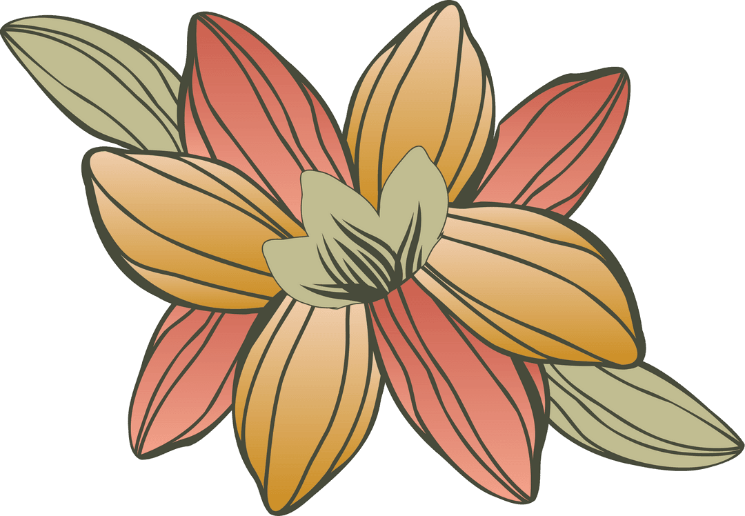 Vibrant Botanical Art with Two-Tone Flowers and Leaves on Transparent