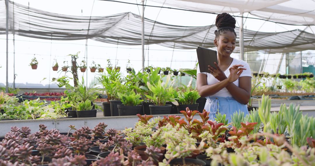 Woman Using Tablet in Plant Nursery Checking Succulents