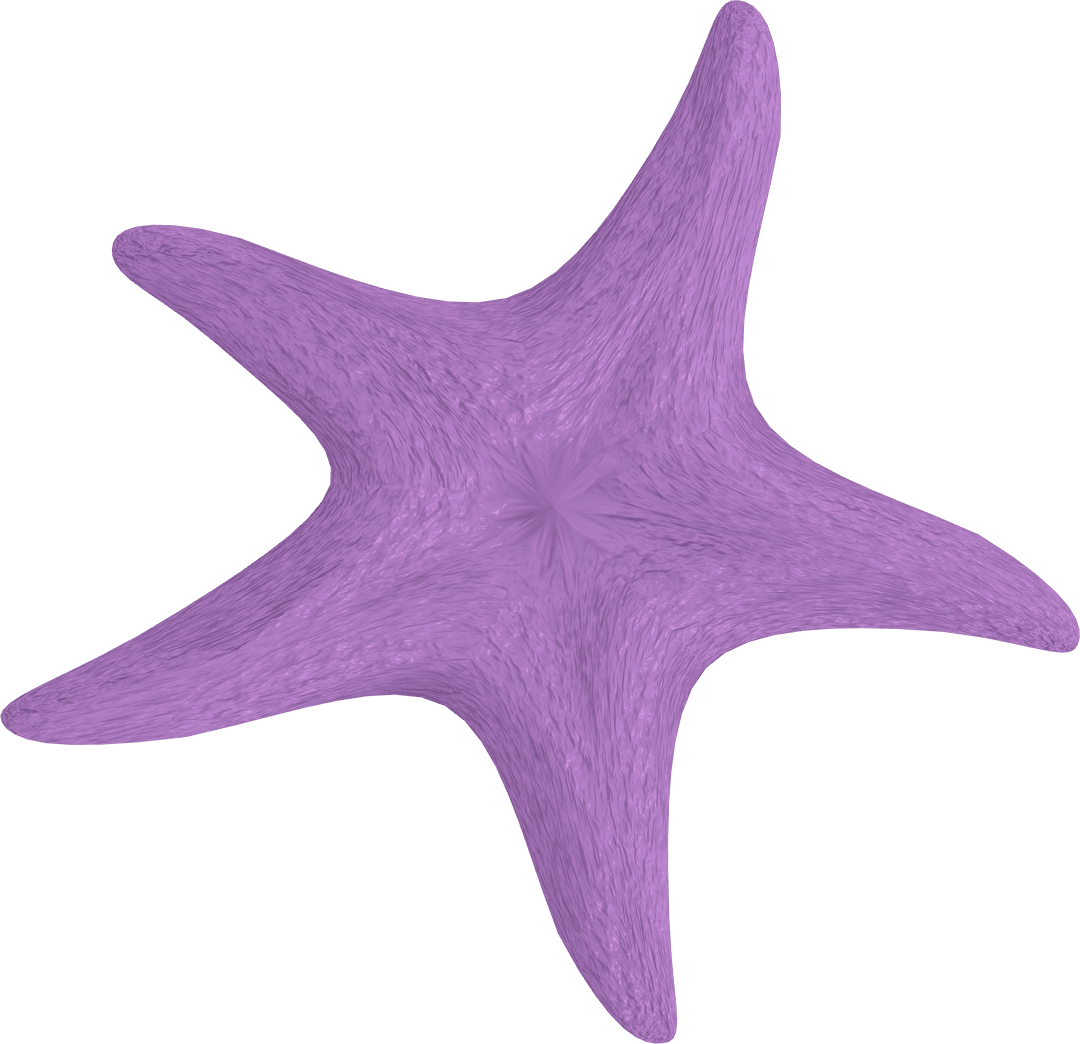 Purple Starfish Illustration on Transparent Background with Copy Space