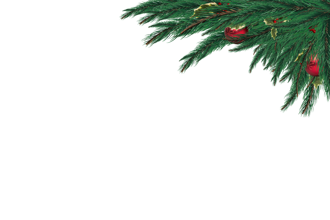 Transparent Festive Fir Branch with Red Baubles for Christmas - Download Free Stock Images Pikwizard.com