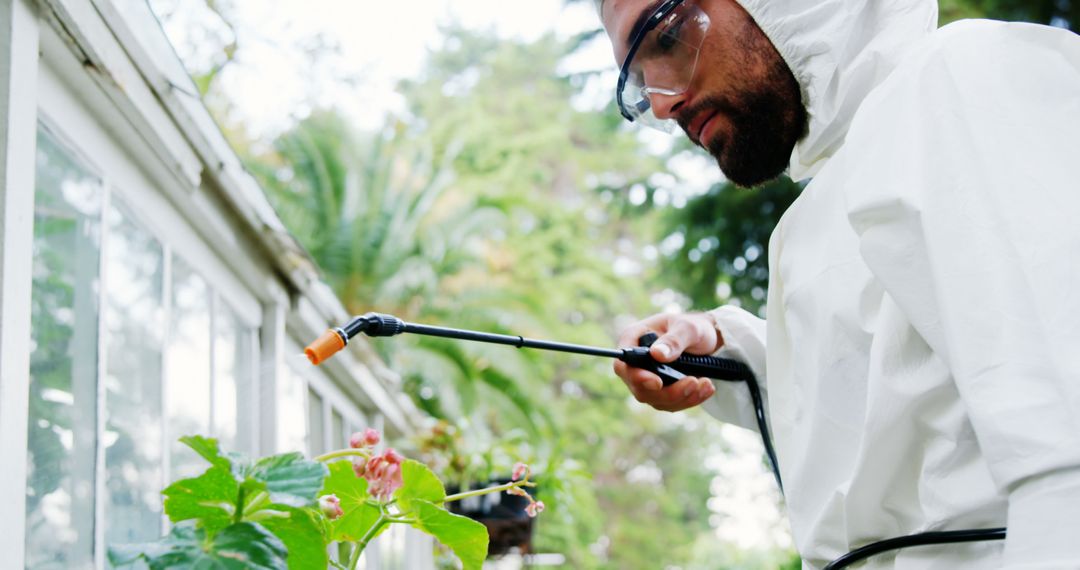 Man spraying pesticides over plant in greenhouse 4k - Free Images, Stock Photos and Pictures on Pikwizard.com