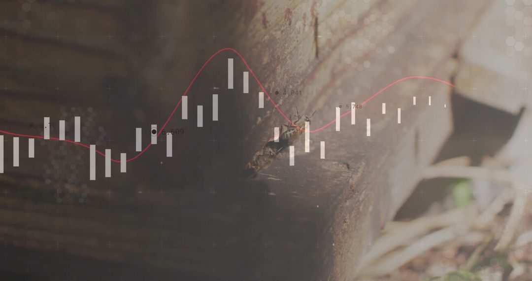 Candlestick Chart Overlay on Rustic Wooden Beam