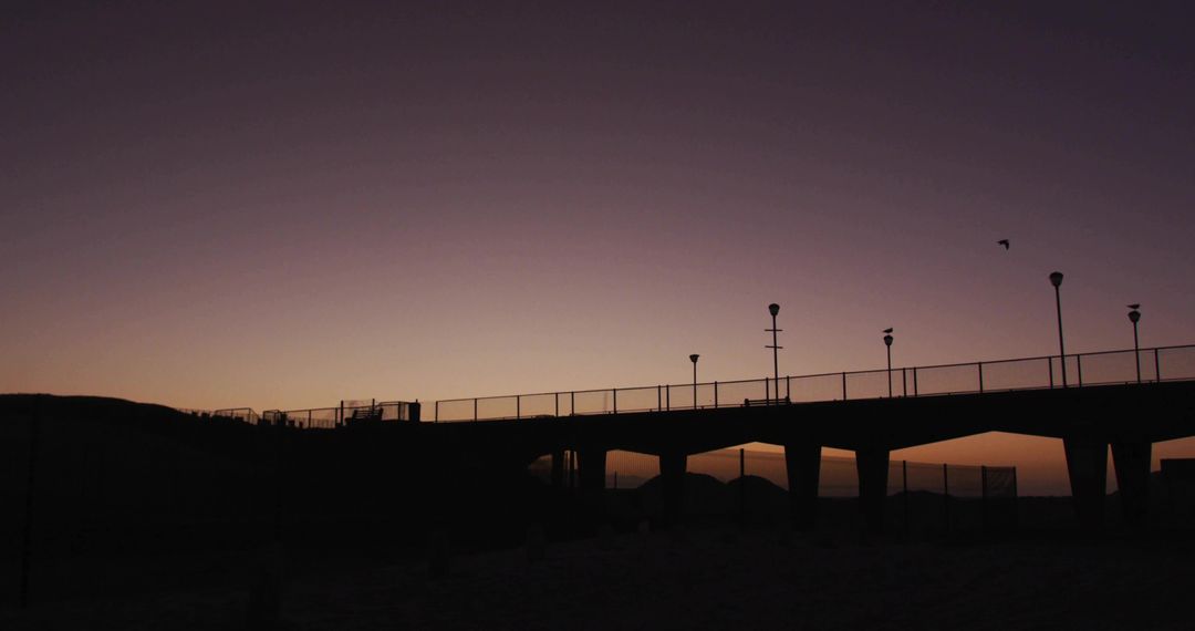 Twilight Pier Silhouette Featuring Lamp Posts, Birds and Gradient Sky over Beach Horizon