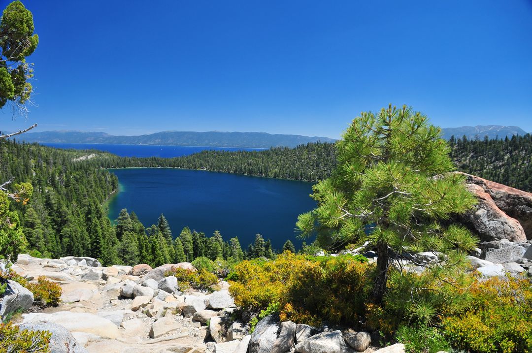 Scenic Mountain Lake View with Pine Trees and Clear Blue Sky - Free Images, Stock Photos and Pictures on Pikwizard.com