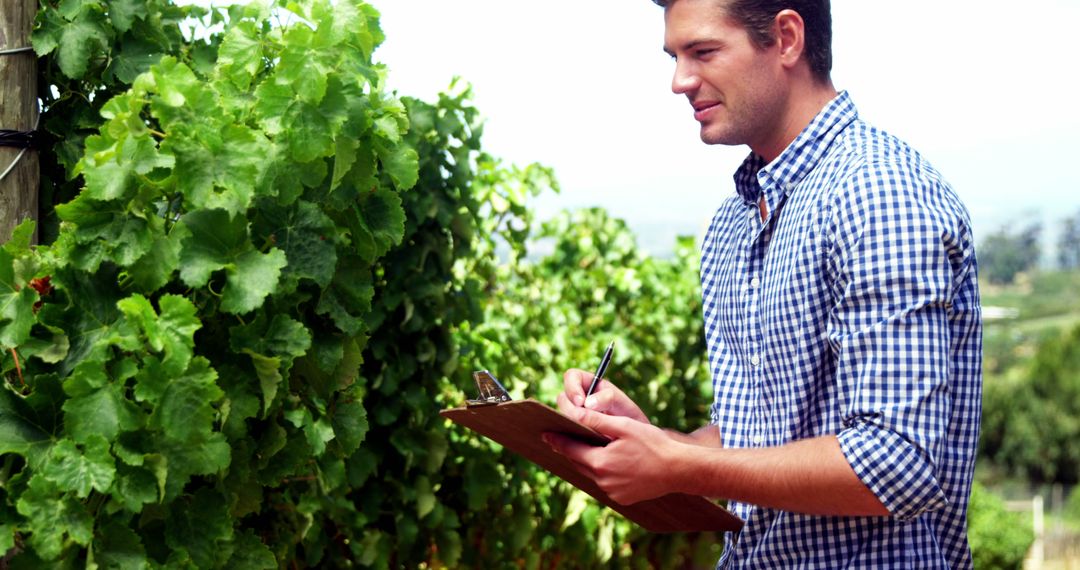 Young Man Inspecting Vineyard and Taking Notes on Clipboard - Free Images, Stock Photos and Pictures on Pikwizard.com