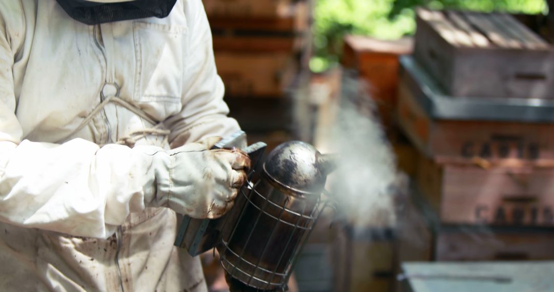 Beekeeper Smoking Hive in Natural Environment - Free Images, Stock Photos and Pictures on Pikwizard.com