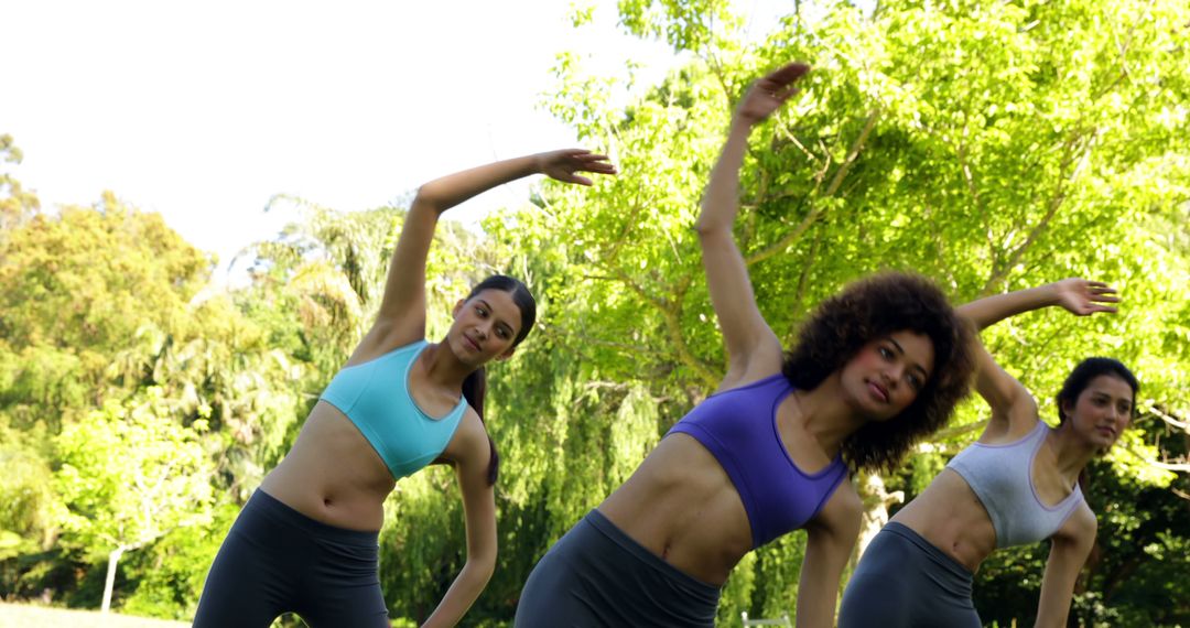 Group of Women Exercising Outdoors in Park on a Sunny Day - Free Images, Stock Photos and Pictures on Pikwizard.com