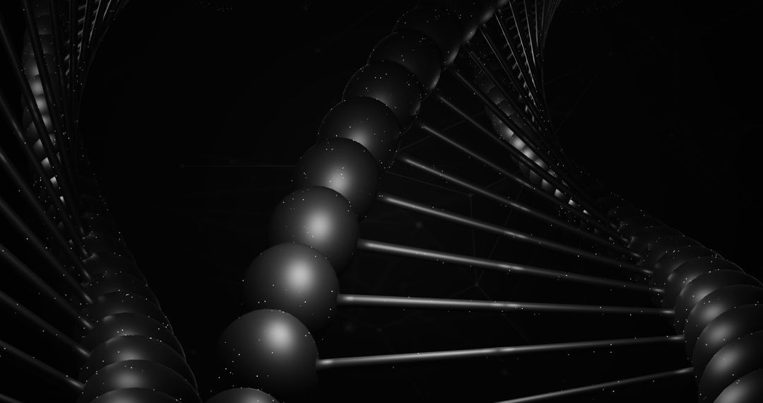 Close-Up View of Macro Black DNA Strand
