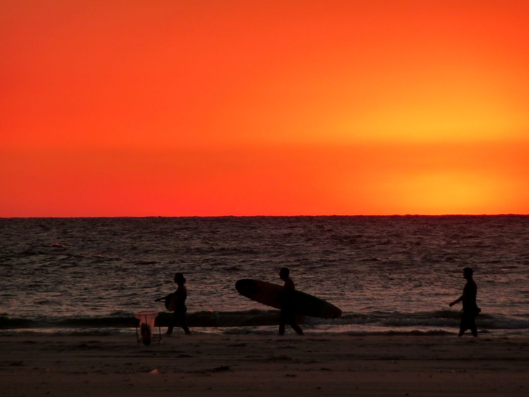 Surfers Walking at Sunset on Tropical Beach - Free Images, Stock Photos and Pictures on Pikwizard.com