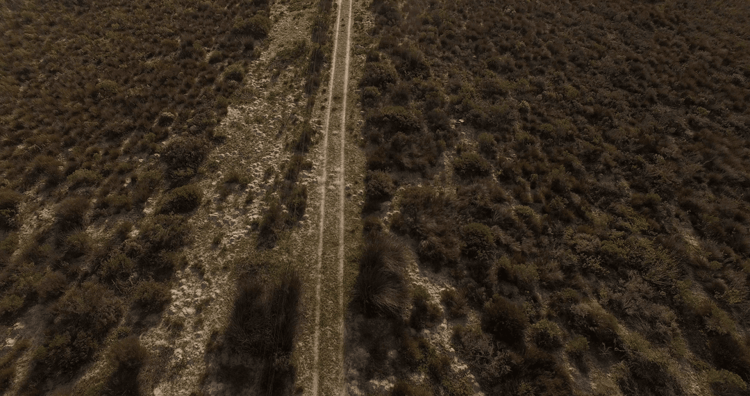Transparent Path Amidst Shrubland Terrain from Above