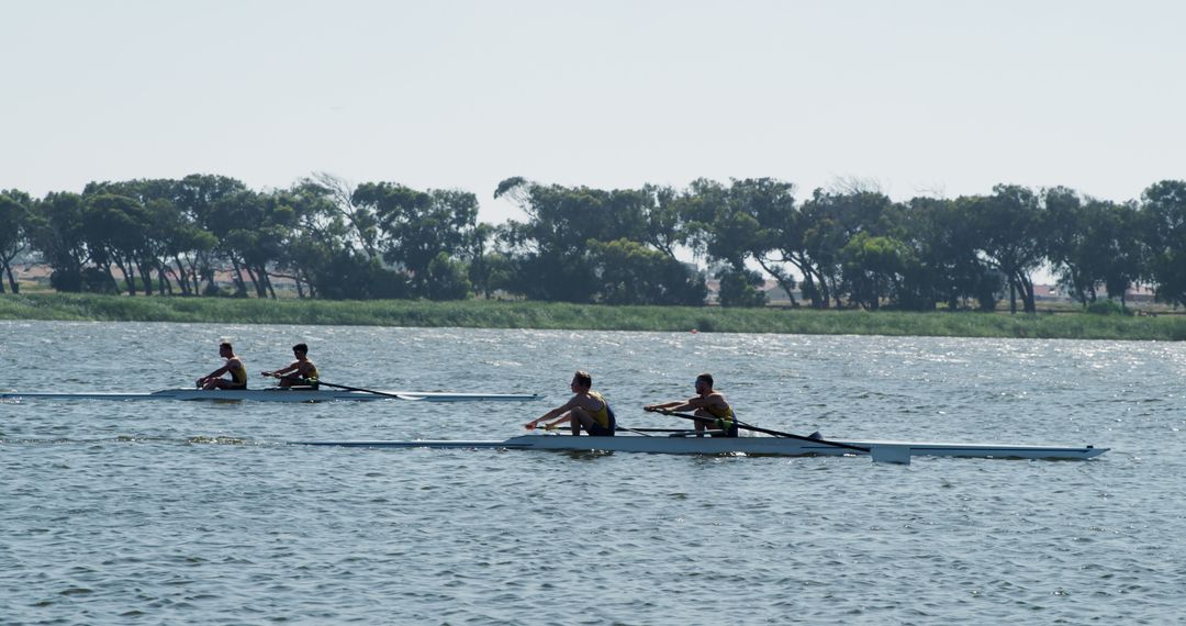 Rowers racing on calm lake during sunny day with trees in background - Free Images, Stock Photos and Pictures on Pikwizard.com