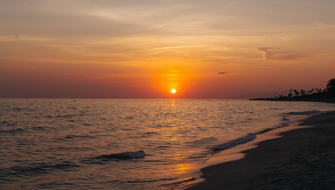 Sunset Over Calm Ocean Casting Golden Reflection with Palm Silhouette on Sandy Shoreline