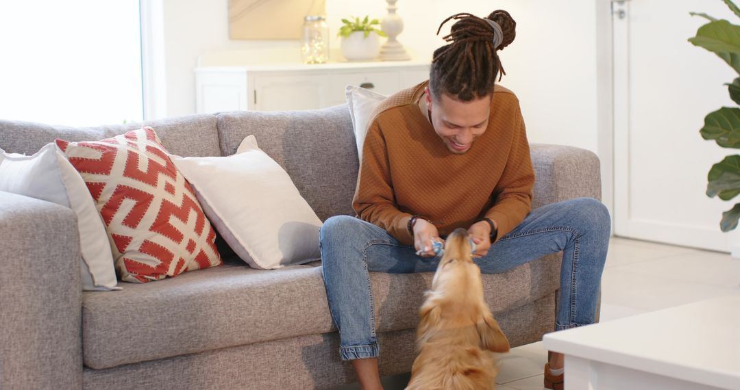 Man playing with golden retriever on modern sofa in cozy minimalist living room
