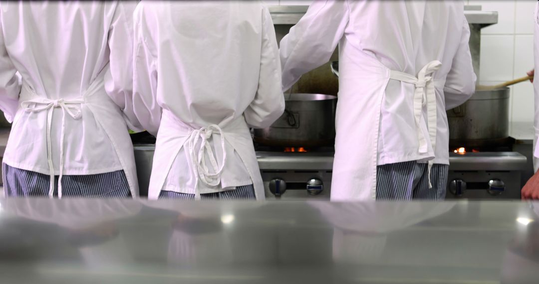 Back View of Chefs Cooking in Commercial Kitchen - Free Images, Stock Photos and Pictures on Pikwizard.com