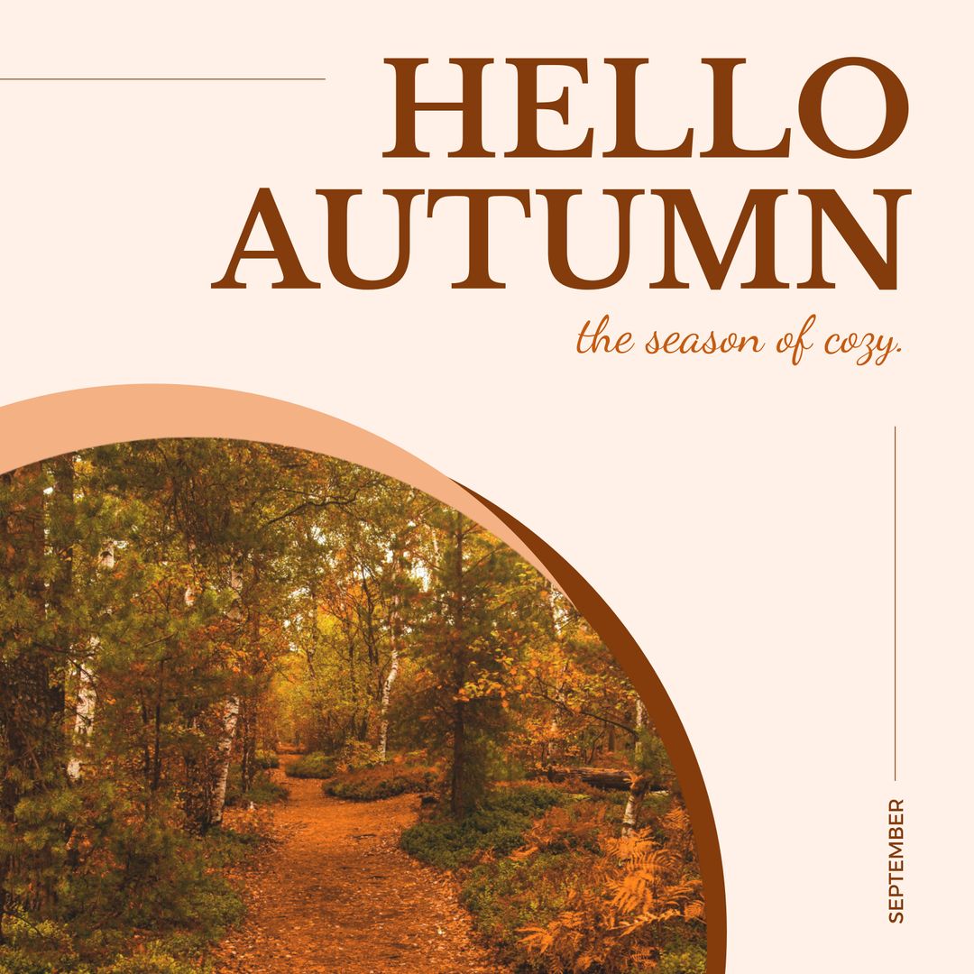 Welcome Autumn with Cozy Seasonal Forest Walk