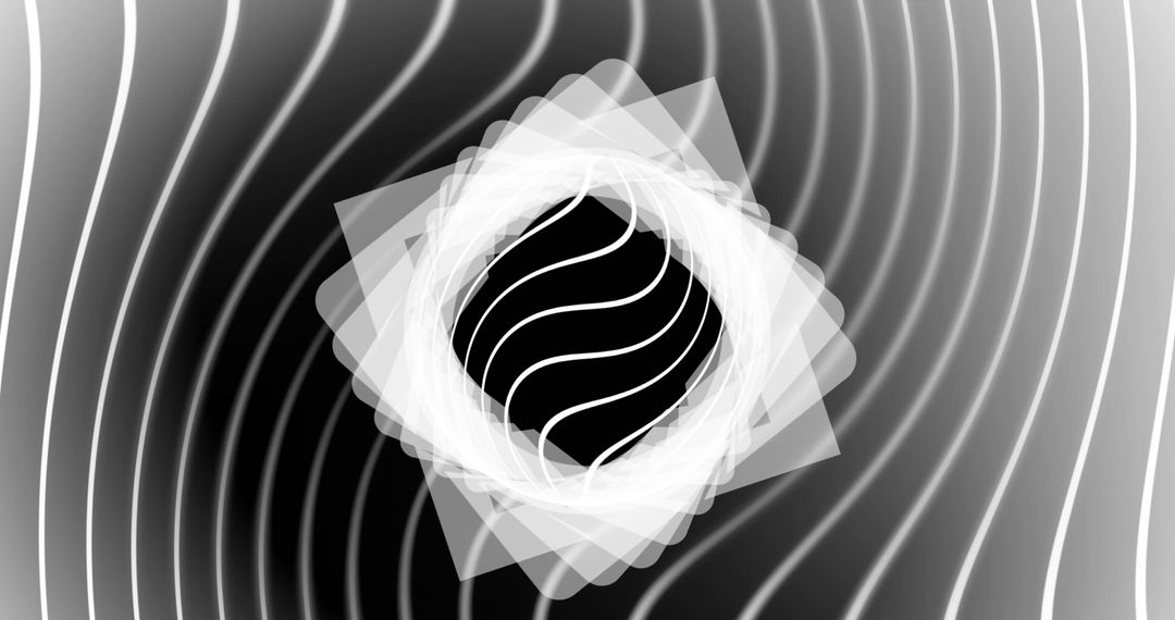 Black and White Abstract Geometric Wave Patterns