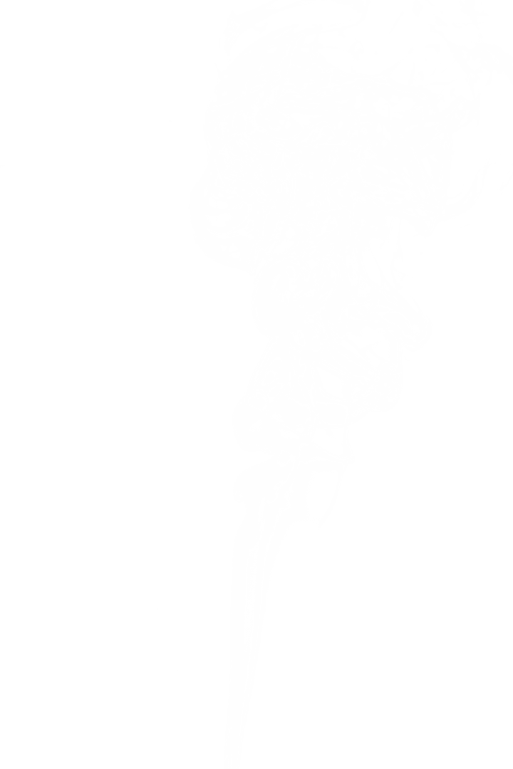 White Smoke Illustration on Transparent Background for Creative Use