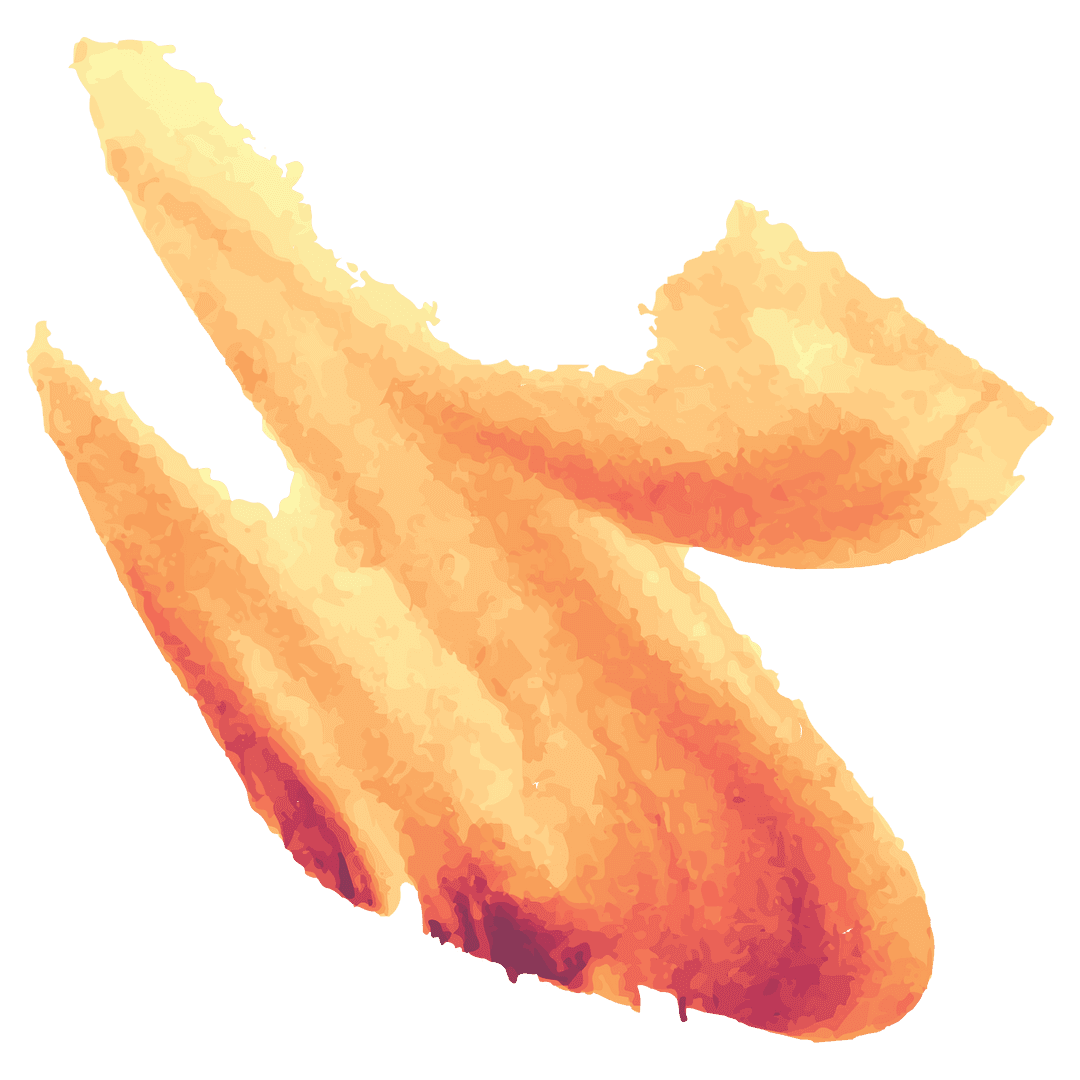 Abstract Orange Shapes on Transparent Background Design