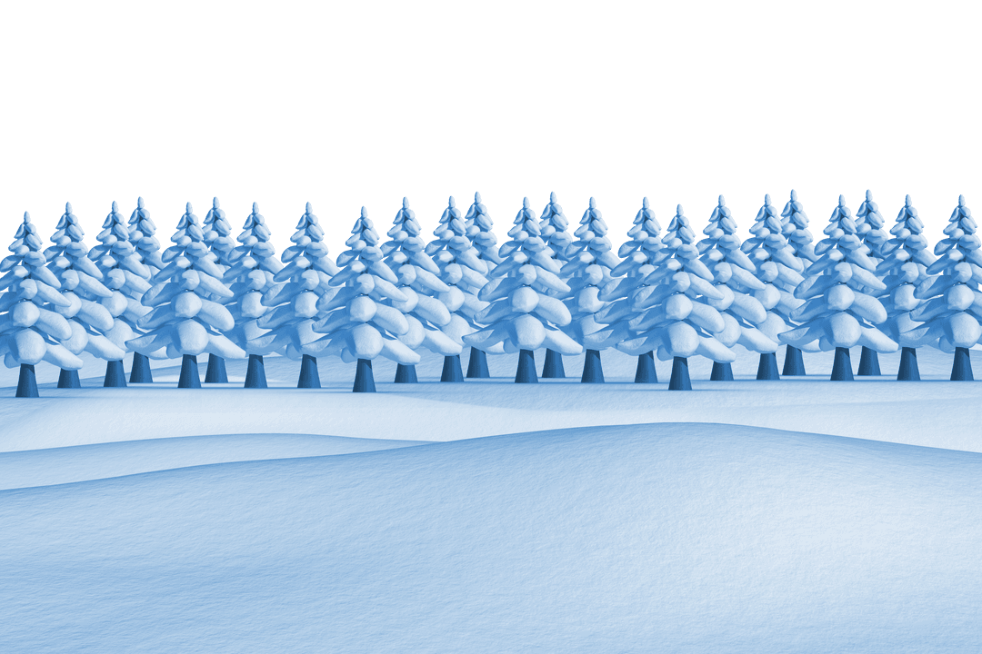 Snowy Evergreen Forest with Transparent Sky Background