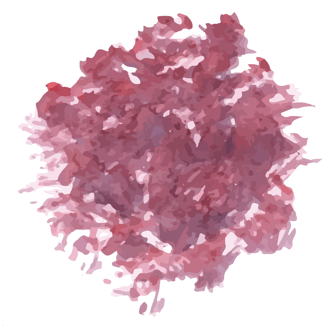 Abstract Pink Paint Dance on Transparent Background