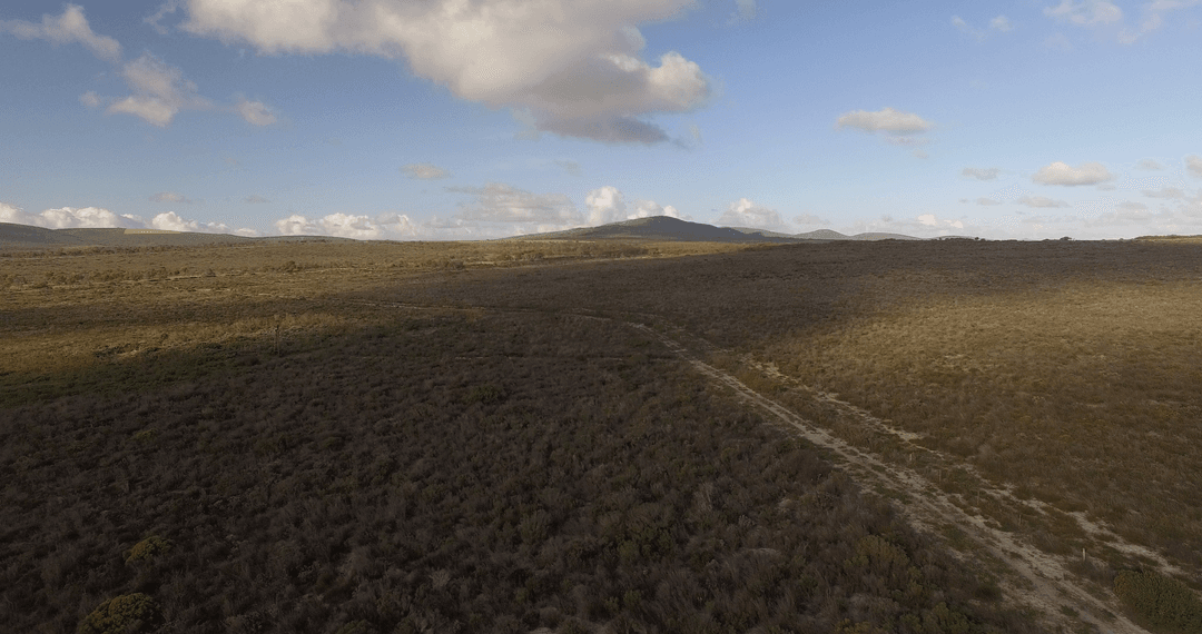 Vast Transparent Landscape Under Clear Sky with Wispy Clouds