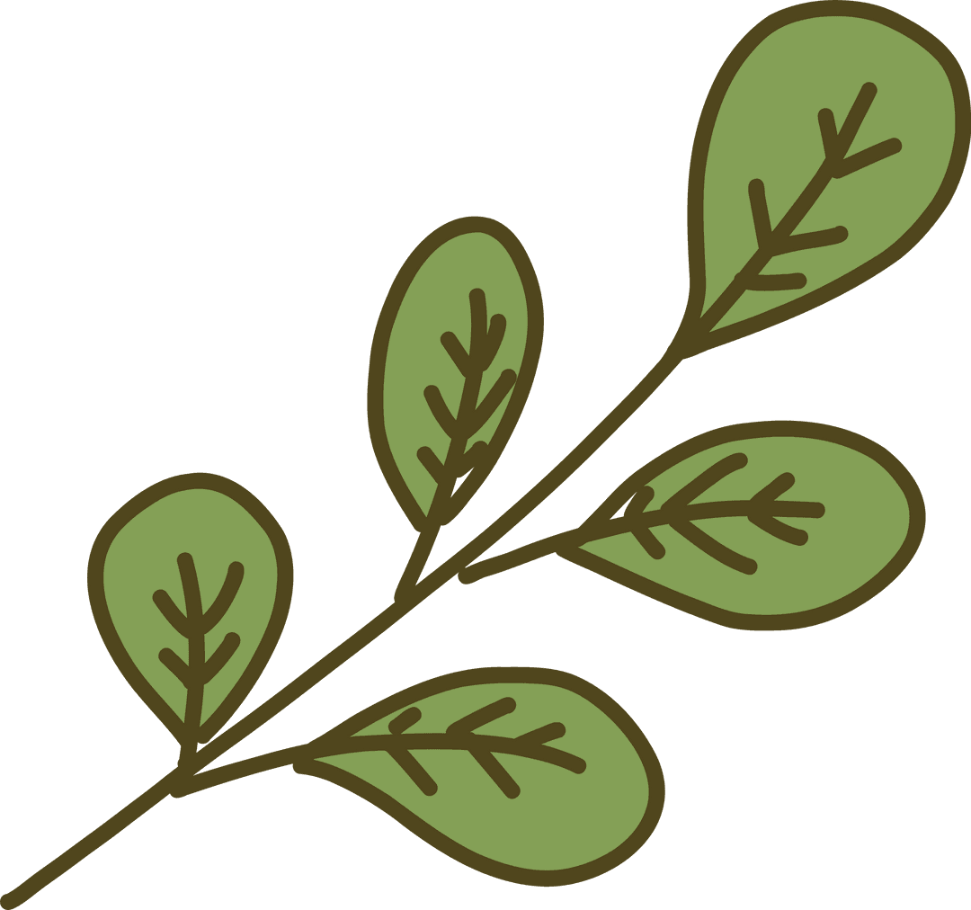 Stylized Botanical Branch with Green Oval Leaves on Transparent Background