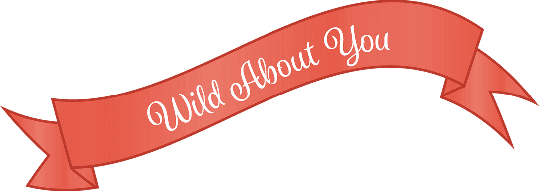 Wild About You Text Banner on Transparent Background