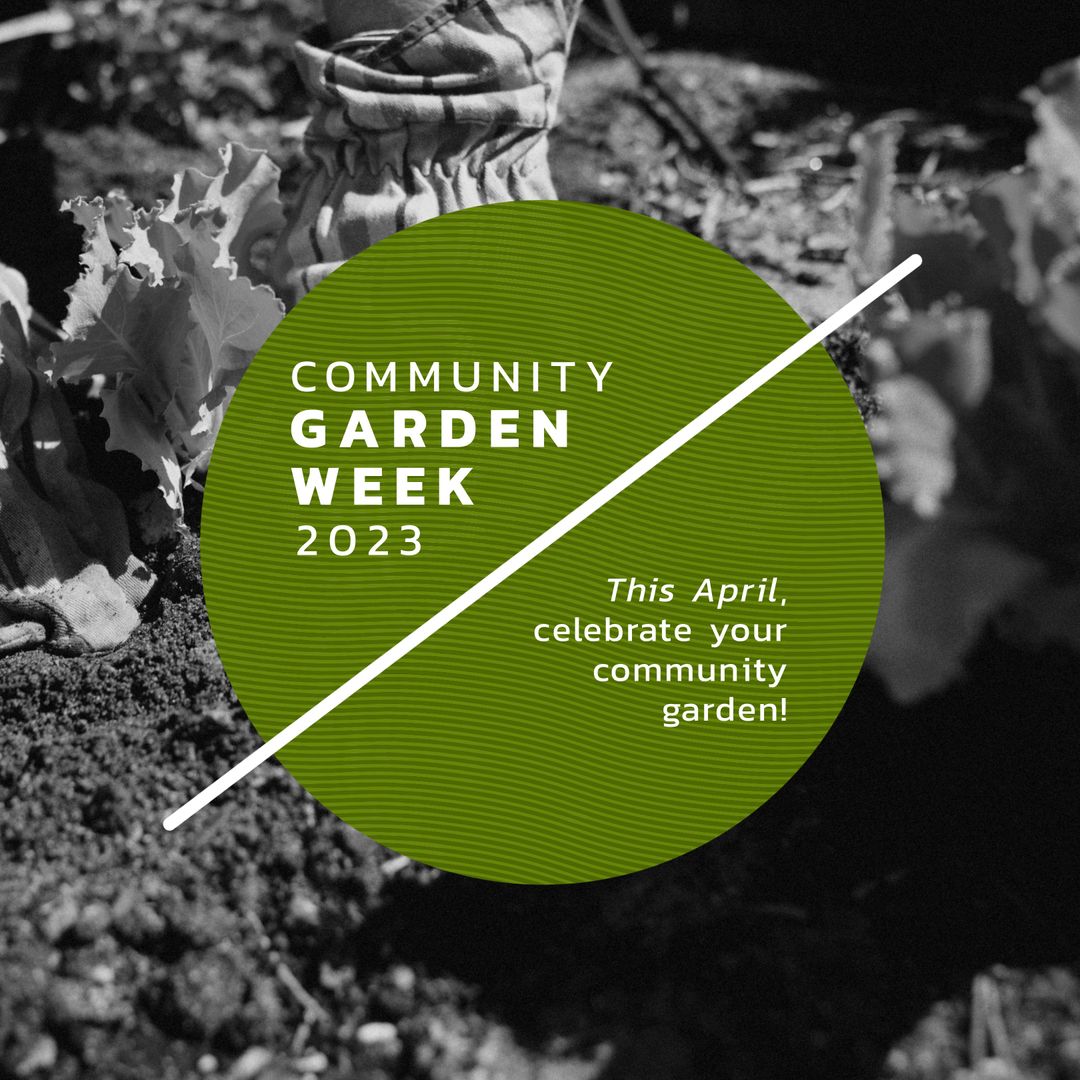 Celebrating Community Garden Week: Inspiring Green Practices
